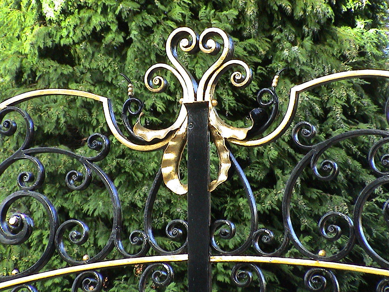 dsc00010
